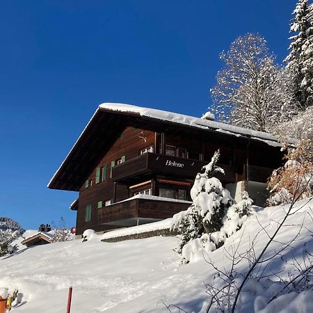 Apartment Helene Apt Diana By Interhome Wengen Extérieur photo