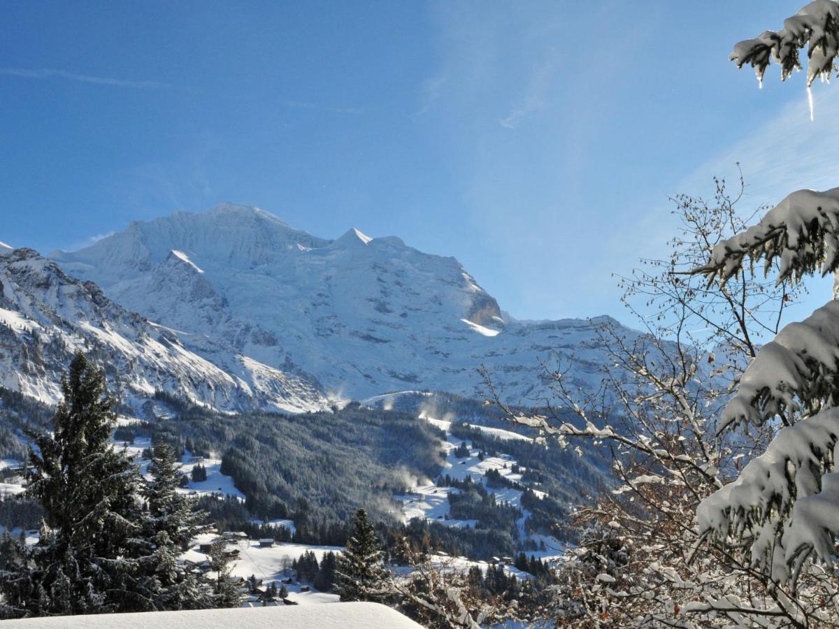Apartment Helene Apt Diana By Interhome Wengen Extérieur photo