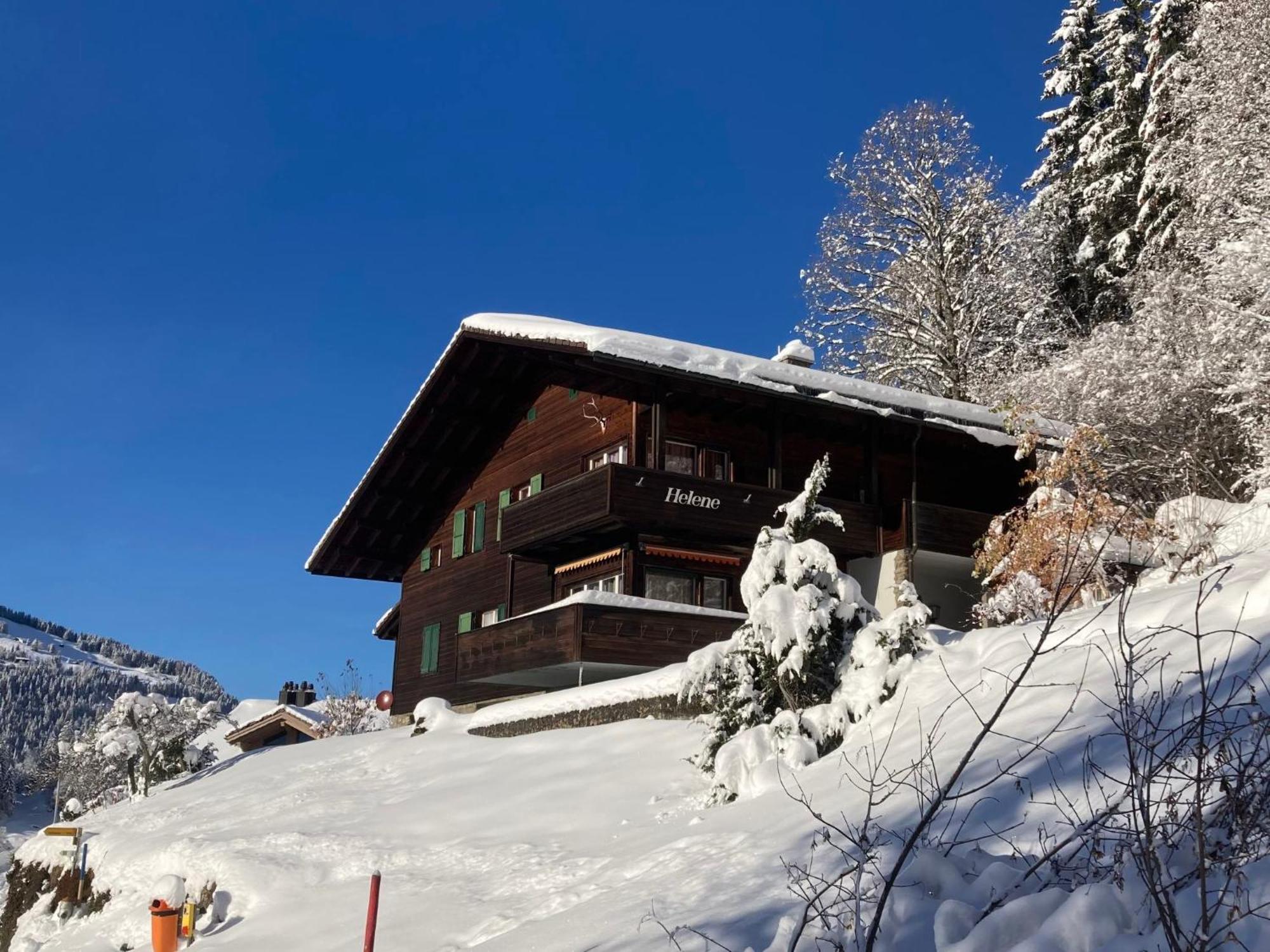 Apartment Helene Apt Diana By Interhome Wengen Extérieur photo